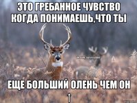 это гребанное чувство когда понимаешь,что ты еще больший олень чем он ↑