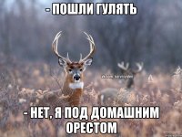 - пошли гулять - нет, я под домашним орестом