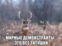  Мирные демонстранты - это все титушки