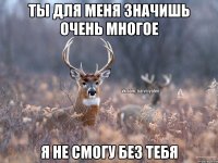 Ты для меня значишь очень многое я не смогу без тебя