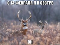 с 14 февраля я к сестре ОК