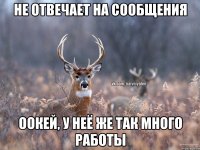 не отвечает на сообщения оокей, у неё же так много работы