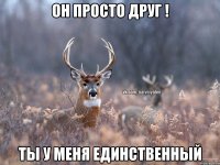 он просто друг ! ты у меня единственный