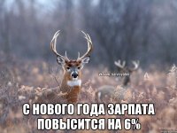  С нового года зарпата повысится на 6%