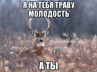 Я на тебя траву молодость А ты