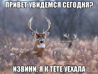 привет увидемся сегодня? извини, я к тёте уехала