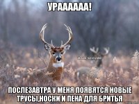 ураааааа! послезавтра у меня появятся новые трусы,носки и пена для бритья