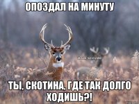 Опоздал на минуту Ты, скотина, где так долго ходишь?!