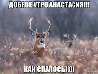 Доброе Утро Анастасия!!! Как спалось))))