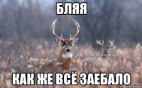 бляя как же всё заебало