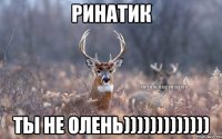 Ринатик Ты не олень)))))))))))))