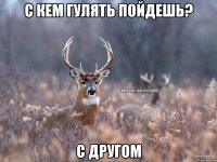 с кем гулять пойдешь? с другом