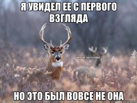 я увидел ее с первого взгляда но это был вовсе не она