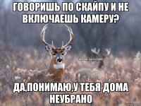 говоришь по скайпу и не включаешь камеру? да,понимаю,у тебя дома неубрано