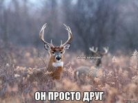  он просто друг