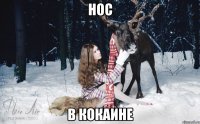 нос в кокаине