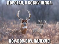 дорогая, я соскучился. воу-воу-воу, палехче!