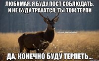 Любимая, я буду пост соблюдать, и не буду трахатся, ты тож терпи да, конечно буду терпеть...