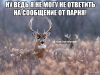 Ну ведь я не могу не ответить на сообщение от парня! 