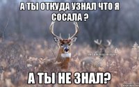 а ты откуда узнал что я сосала ? А ты не знал?