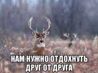  НАМ НУЖНО ОТДОХНУТЬ ДРУГ ОТ ДРУГА