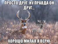 Просто друг, ну правда он друг... Хорошо милая я верю