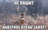 Не пишит наверное очень занят!