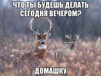 Что ты будешь делать сегодня вечером? домашку