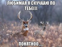 любимая я скучааю по тебе((( понятноо……