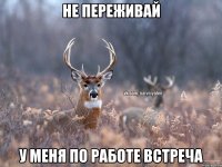 Не переживай У меня по работе встреча