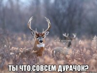  Ты что,совсем дурачок?