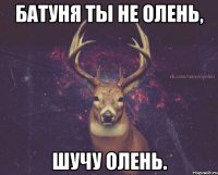 Батуня ты не Олень, Шучу Олень.