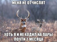 Меня не отчислят хоть я и не ходил на пары почти 2 месяца