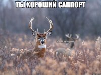 ты хороший саппорт 