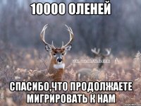 10000 оленей спасибо,что продолжаете мигрировать к нам