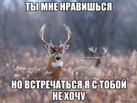 Ты мне нравишься Но встречаться я с тобой не хочу