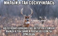 милый,я так соскучилась но сегодня холодно,снег,ветер, поэтому не выйду к тебе даже в подъезд, если ты приедешь