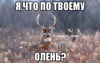 я,что по твоему олень?