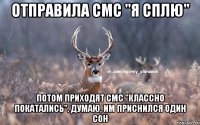 Отправила смс "я сплю" Потом приходят смс "классно покатались". Думаю, им приснился один сон