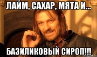 Лайм, сахар, мята и... Базиликовый сироп!!!