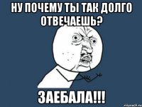 Ну почему ты так долго отвечаешь? Заебала!!!