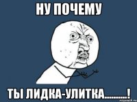 НУ ПОЧЕМУ ТЫ ЛИДКА-УЛИТКА..........!