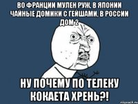 Во Франции Мулен Руж, в Японии Чайные домики с Гейшами, в России Дом 2 НУ ПОЧЕМУ ПО ТЕЛЕКУ КОКАЕТА ХРЕНЬ?!