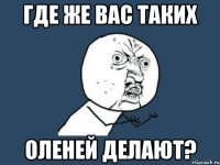 Где же вас таких оленей делают?