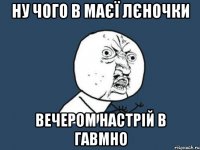 ну чого в маєї Лєночки вечером настрій в гавмно