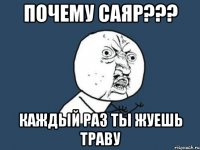 Почему Саяр??? Каждый раз ты жуешь траву