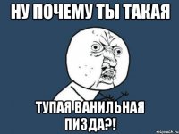 Ну почему ты такая Тупая ванильная пизда?!