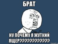 БРАТ НУ ПОЧЕМУ Я ЖУТКИЙ ЯЩЕР????????????