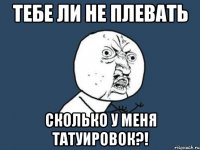 тебе ли не плевать сколько у меня татуировок?!