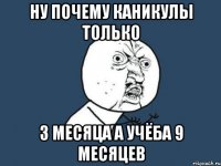 ну почему каникулы только 3 месяца а учёба 9 месяцев